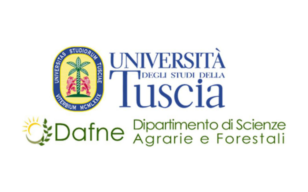 Università degli Studi della Tuscia – DAFNE